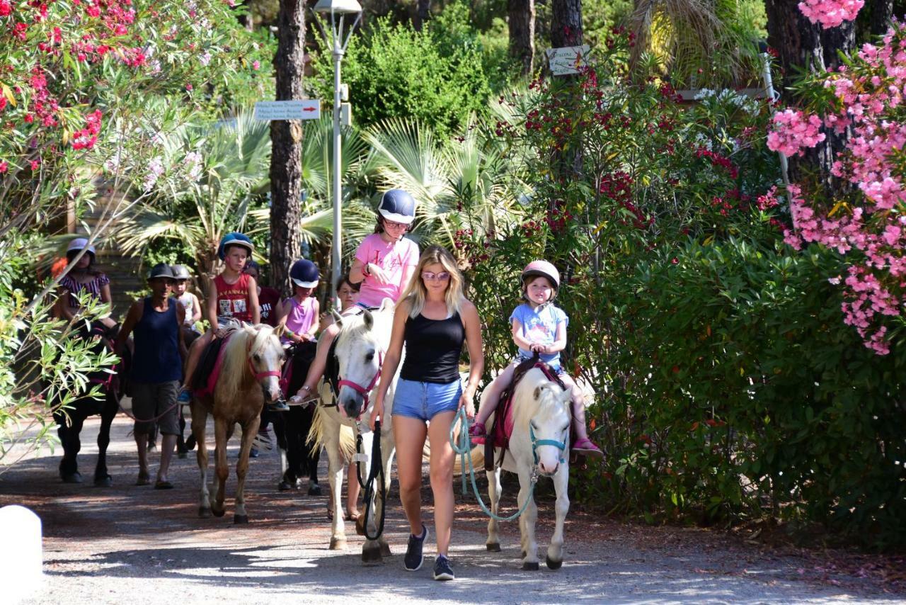 Camping Resort La Baume La Palmeraie Fréjus Dış mekan fotoğraf